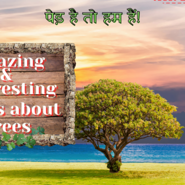 Interesting facts about trees - Akalmand India