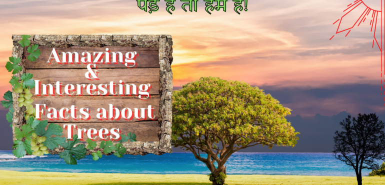 Interesting facts about trees - Akalmand India