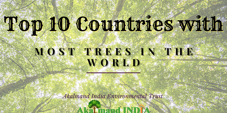 Top 10 Countries with most trees in the world - Akalmand India Environmental Trust