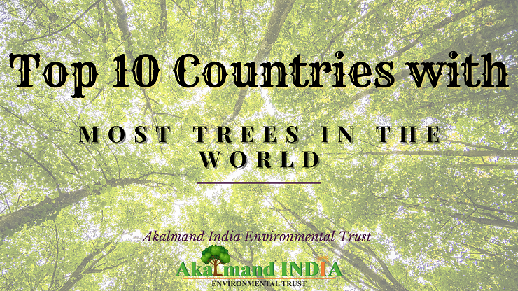 Top 10 Countries with most trees in the world - Akalmand India Environmental Trust